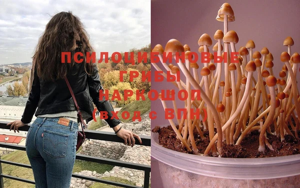 каннабис Абаза