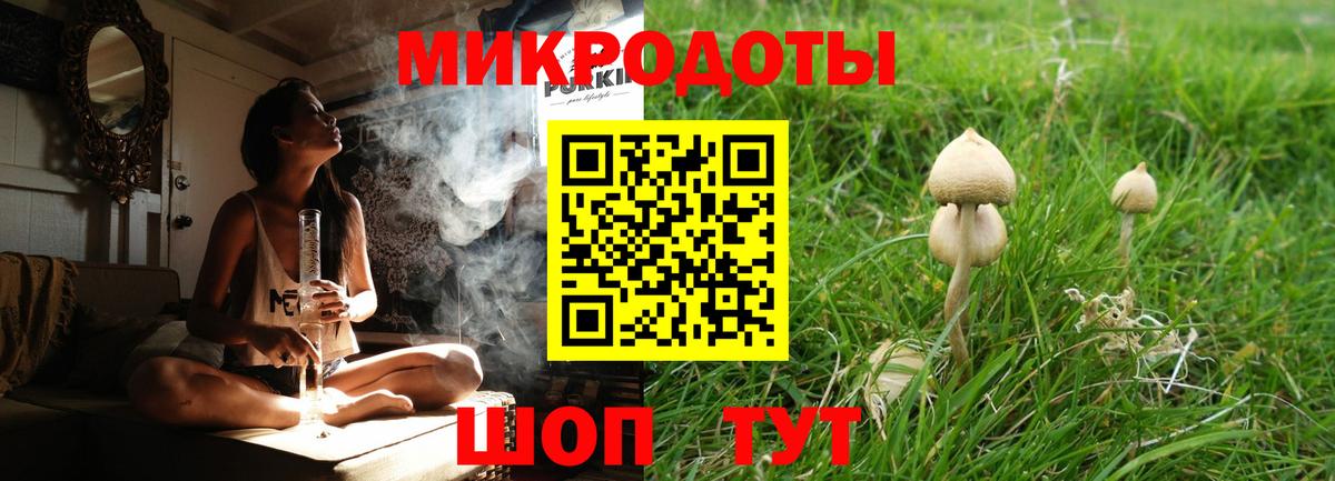 Псилоцибиновые грибы ЛСД Сухой Лог
